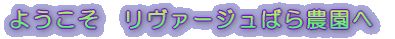 悤@@[W΂_ 